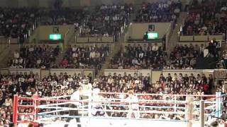 あ〜無念！長谷川穂積選手　右フック一発で沈む