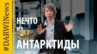 Мозазавры откладывали яйца. Ярослав Попов 