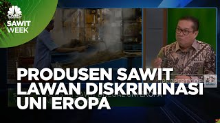 Lobi-lobi Produsen Sawit! Lawan Diskriminasi Uni Eropa