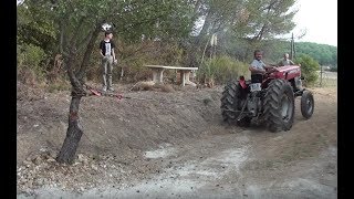 MF 158V ARRACHAGE ARBRE 2