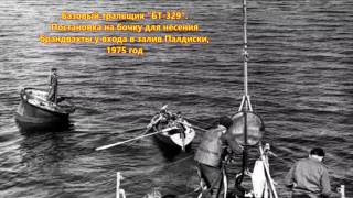 40-й дивизион базовых тральщиков 94-й бригады тральщиков Таллинской военно-морской базы
