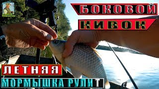 Боковой кивок рулит. Ловите рыбу на мормышку.