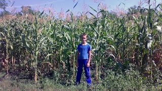 Самый простой ручной огородный культиватор. Пропольник.
