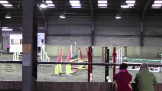 Jumping at Pencoed College - Southerndown Riding Club [The Accumulator]