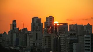 Seoul of the Law - Korea's Cultural Influences on Career Paths to Success