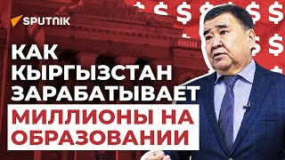 Привозят миллионы долларов в КР! Просто о недооцененном бизнесе