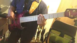 秘めない私 / ゲスの極み乙女。(Bass cover)【ベース弾いてみた】