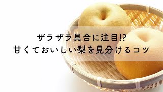 ザラザラ具合に注目!?甘くておいしい梨を見分けるコツ