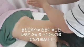 피나사벳? 트렌드 타임_ 뭉친근육풀기 등마사지