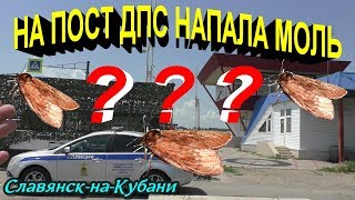Славянск-на-Кубани?На пост ДПС напала МОЛЬ,поела флаги,обгадила туалет и испортила пожарный щит ??