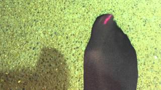 Crossdresser's toes in pantyhose outside