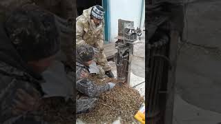 Так обрабатывают кедровую шишку в приморье