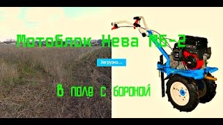 Мотоблок Нева МБ-2 с бороной в поле