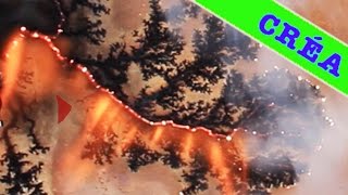 Gravure sur bois à l'arc électrique - Lichtenberg figure -