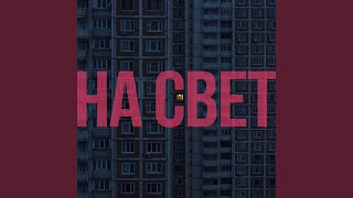 истоптанные вансы
