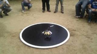 Final: LSMaker - Lluitadors de Sumo
