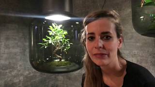 Mygdal lamps: LED grow light system by NUI STUDIO | imm cologne 2018