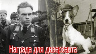 Забрали у немецкого летчика награду для диверсанта! случай с немецким летчиком. военные истории.