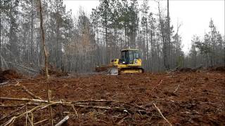 Bulldozer Clearing Trees