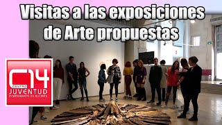 Visitas guiadas a las exposiciones de Centro 14