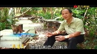 非凡新聞台-台灣真善美-新竹竹北-德興蜂蜜園-