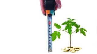 Оценка стоимости бизнеса. Затратный и доходный подходы #ОБРАЗОВАНИЕ.РФ