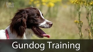 Gundog Training With Andy Cullen