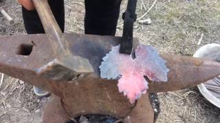 Виноградная Эпопея! Виноград своими руками . Ковка винограда, листьев, лоза.