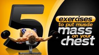 5 Exercises To Put Muscle Mass On Your Chest!