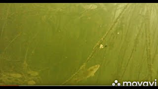 Эндоскоп для рыбалки f=0,5 м. тестирование под водой после изменений.