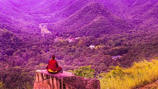 Miracle Healing Frequency | 528Hz Music For Meditation | Positive Vibes | Self Love Energy Cleanse