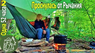 ???? Одна 52 часа в лесу с гамаком Проснулась от рычания ???? Еноты окружили ► Серия 2