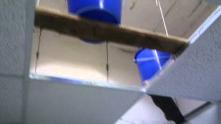 The Toilet Trap