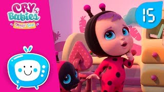 ☀️ COLECȚIA 15 MINUTE! ? CRY BABIES ? MAGIC TEARS ? DESENE pentru copii