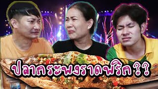 【ปิ่นโตคาเฟ่ต์】- ปลากระพงราดพริก