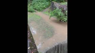 Deep lock #29 waterfall
