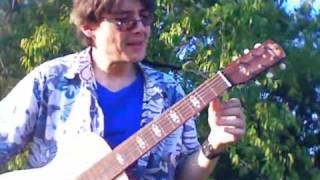 Stella Harmony Guitar Review