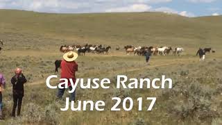Cayuse Ranch