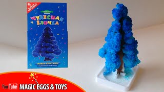 ЧУДЕСНАЯ ЕЛОЧКА ВЫРАСТИ СВОЕ ДЕРЕВО - ОПЫТЫ ДОМА (ЖИВЫЕ КРИСТАЛЛЫ)