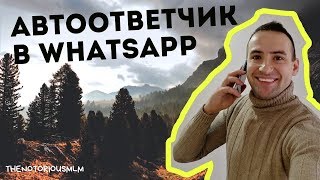 Как создать автоответчик в WhatsApp, что бы не терять клиентов?