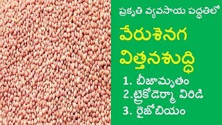 ZBNF Groundnut PoP II 1- Seed Treatment II RySS & DoAG & Digital Green_A.P.