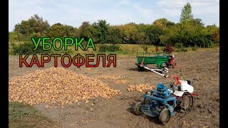 Уборка Картофеля Модернизированной Копалкой ПОЛТАВСКАЯ и Мотоблоком ФАВОРИТ