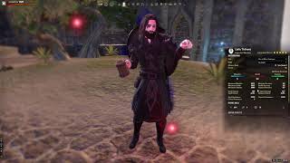 PvE End-Game Warden Main Tank Build for Summerset