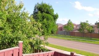 DIY - Jib Crane /test footage for DSLR camera