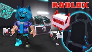 ПИТОМЦЫ КИБОРГИ в РОБЛОКС / СИМУЛЯТОР ПИТОМЦЕВ / Pet Simulator Cyborgs Roblox / КОТЁНОК ЛАЙК