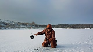 БЕШЕНЫЙ КЛЁВ ЩУКИ! Рыбалка на Жерлицы Ловля Щуки на Живца (Щука Видео) – MF №84