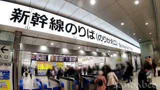 やけにカッコイイ声の4か国語アナウンス。Announcement of cool four languages.帅的4国语言的广播.근사한 4카국어의 아나운스.