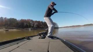 Lake Hartwell Fall Cranking