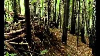Страйкбол во Львове (НТВ - рабочий материал) 2004 год.