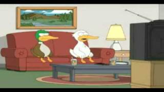 two ducks watch boxxybabee